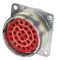 CINCH CONNECTIVITY SOLUTIONS BACC63BV14F7P8H