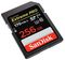 SANDISK SDSDXXY-256G-GN4IN