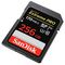 SANDISK SDSDXXY-256G-GN4IN